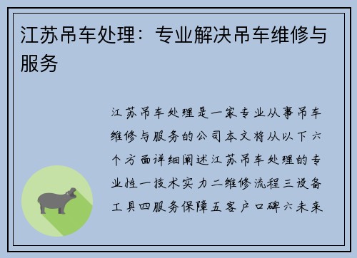 江苏吊车处理：专业解决吊车维修与服务